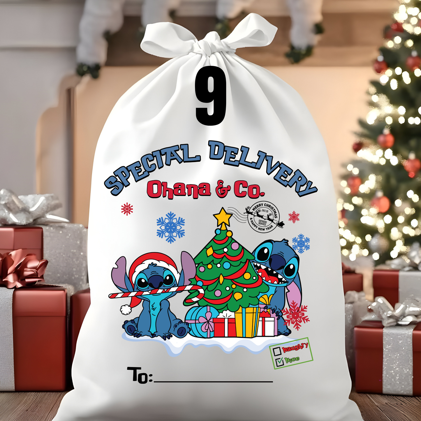 Character Santa Sacks