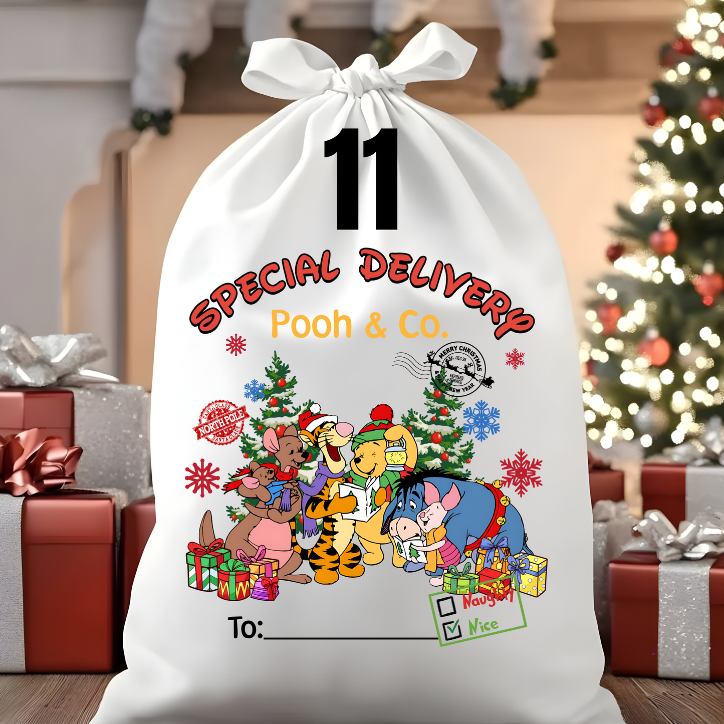 Character Santa Sacks