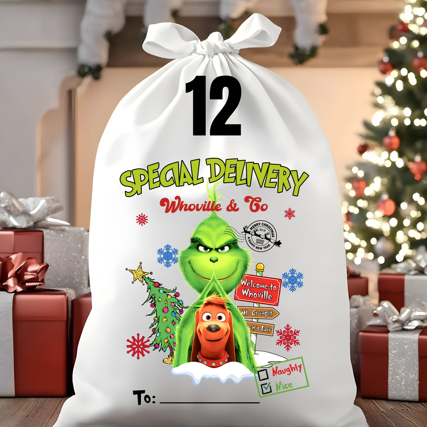 Character Santa Sacks