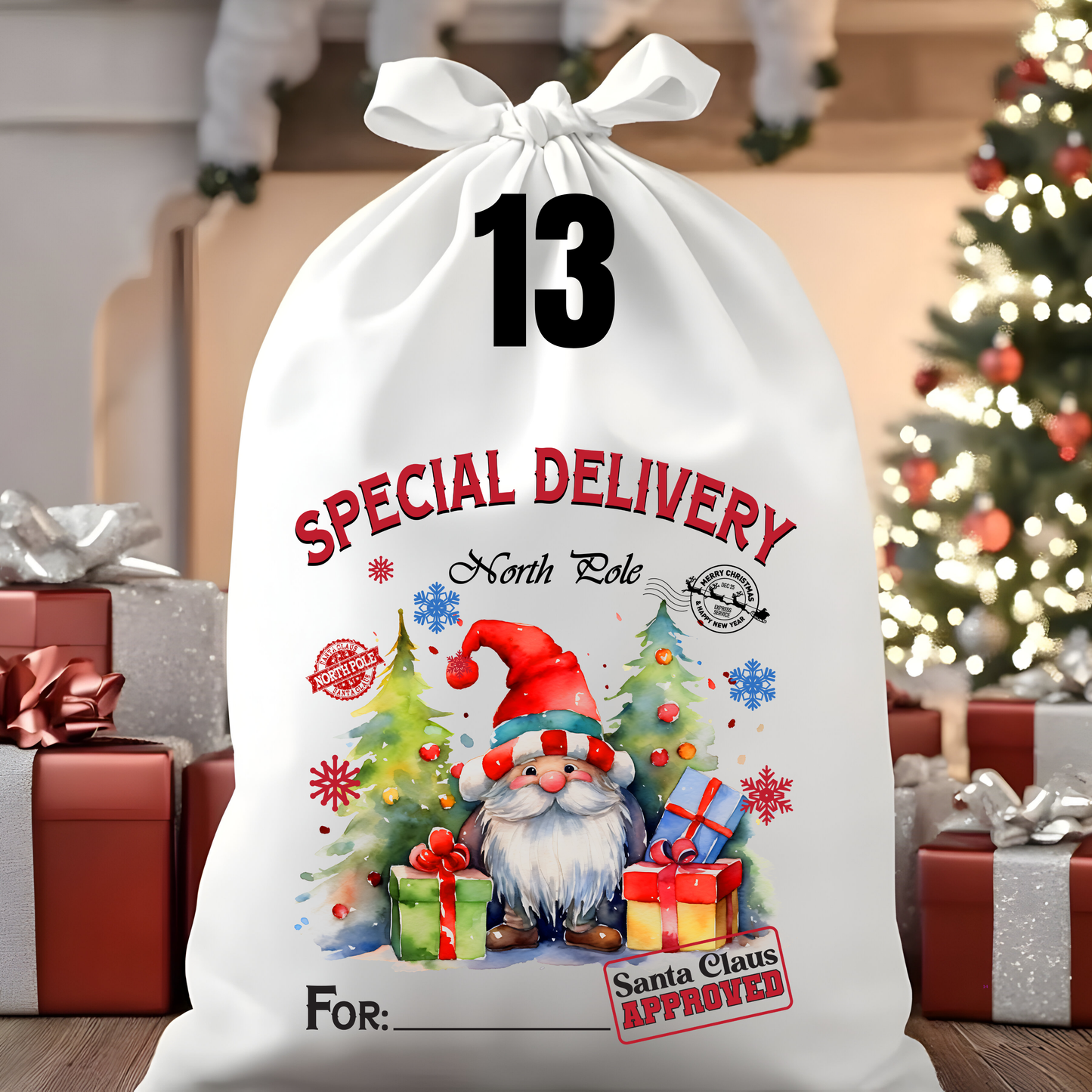 Character Santa Sacks