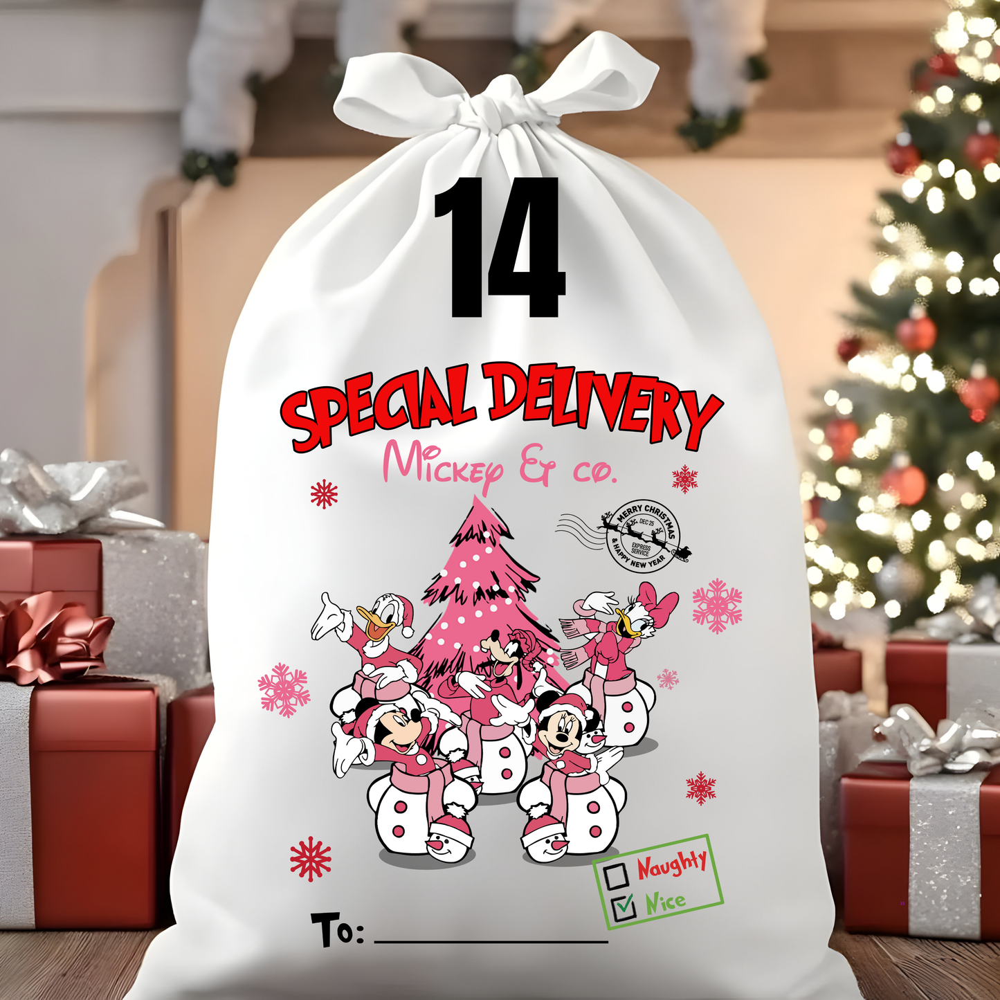 Character Santa Sacks