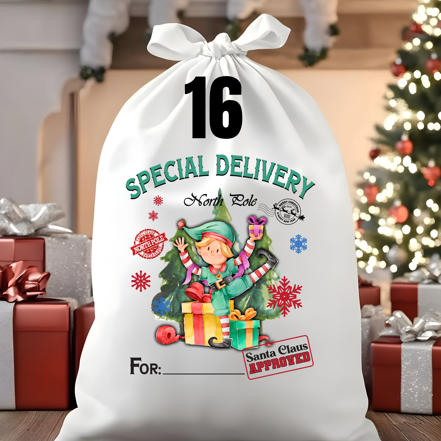 Character Santa Sacks