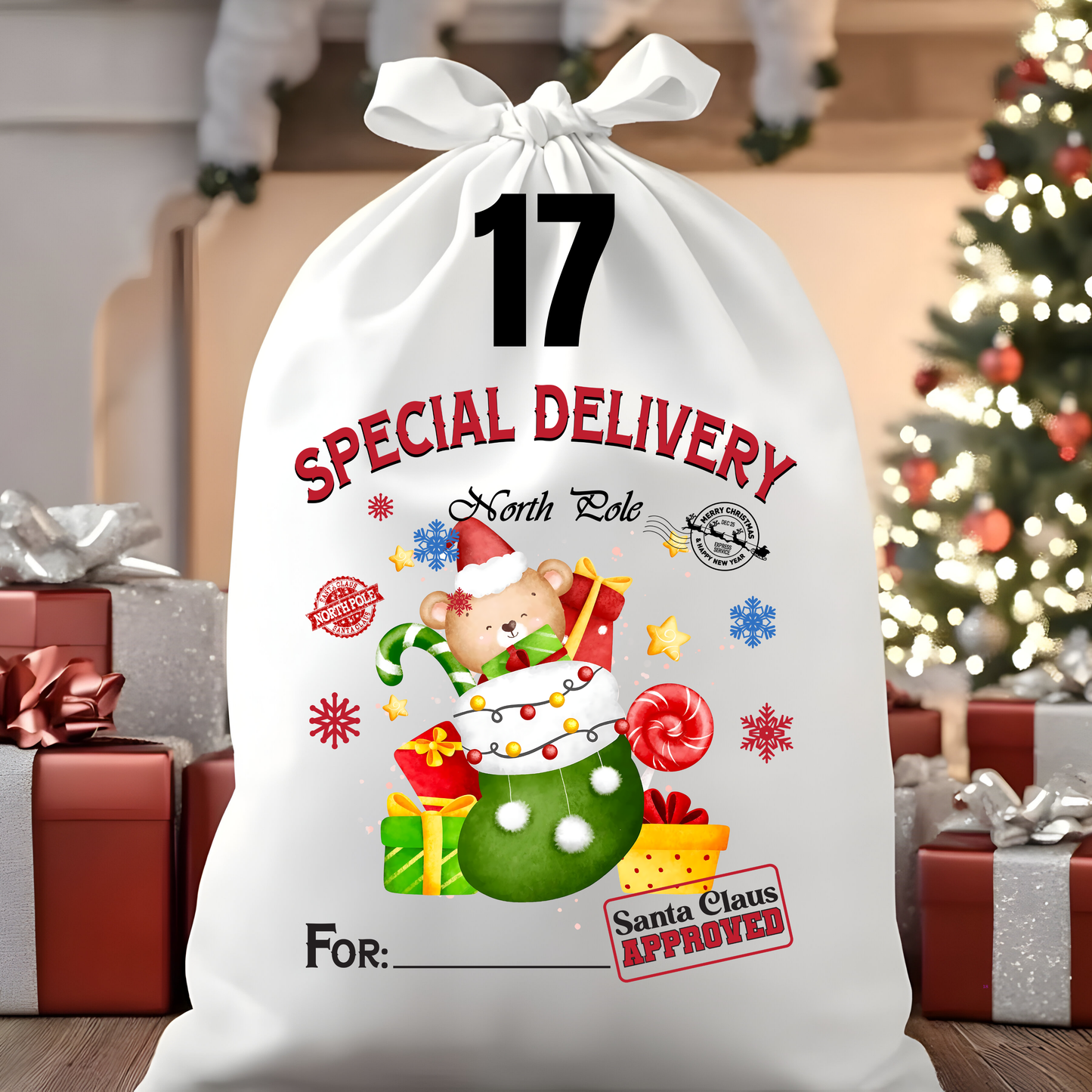 Character Santa Sacks