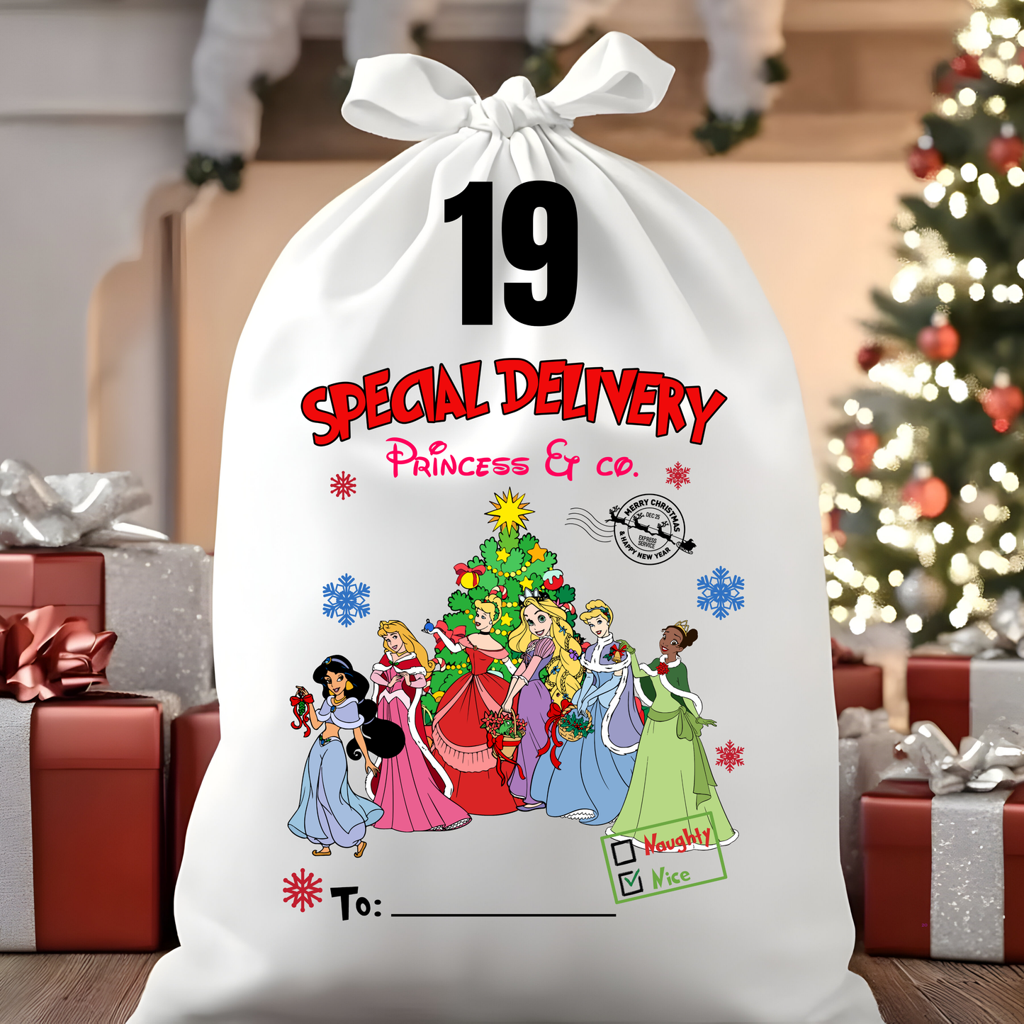 Character Santa Sacks