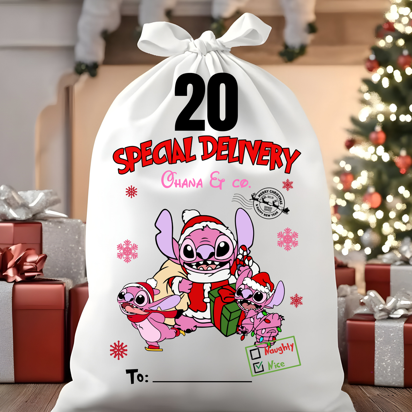 Character Santa Sacks