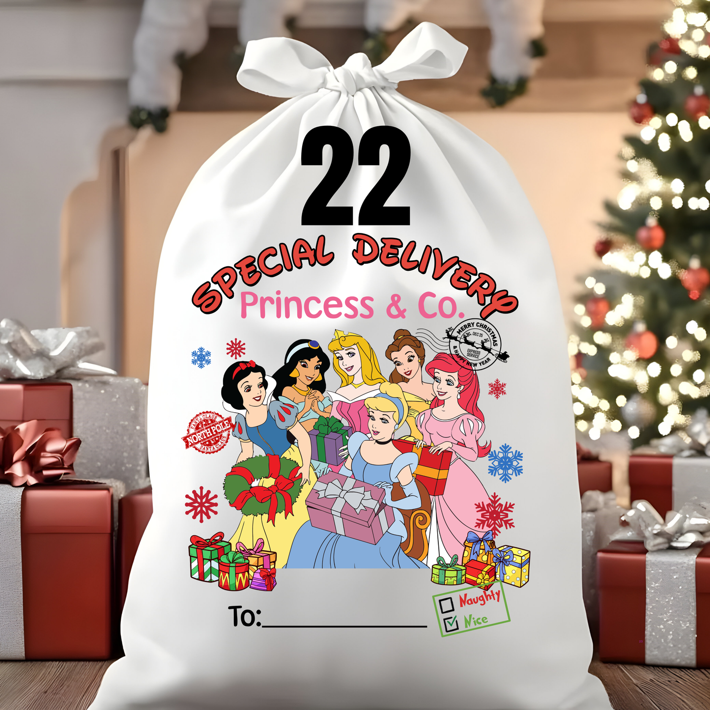 Character Santa Sacks