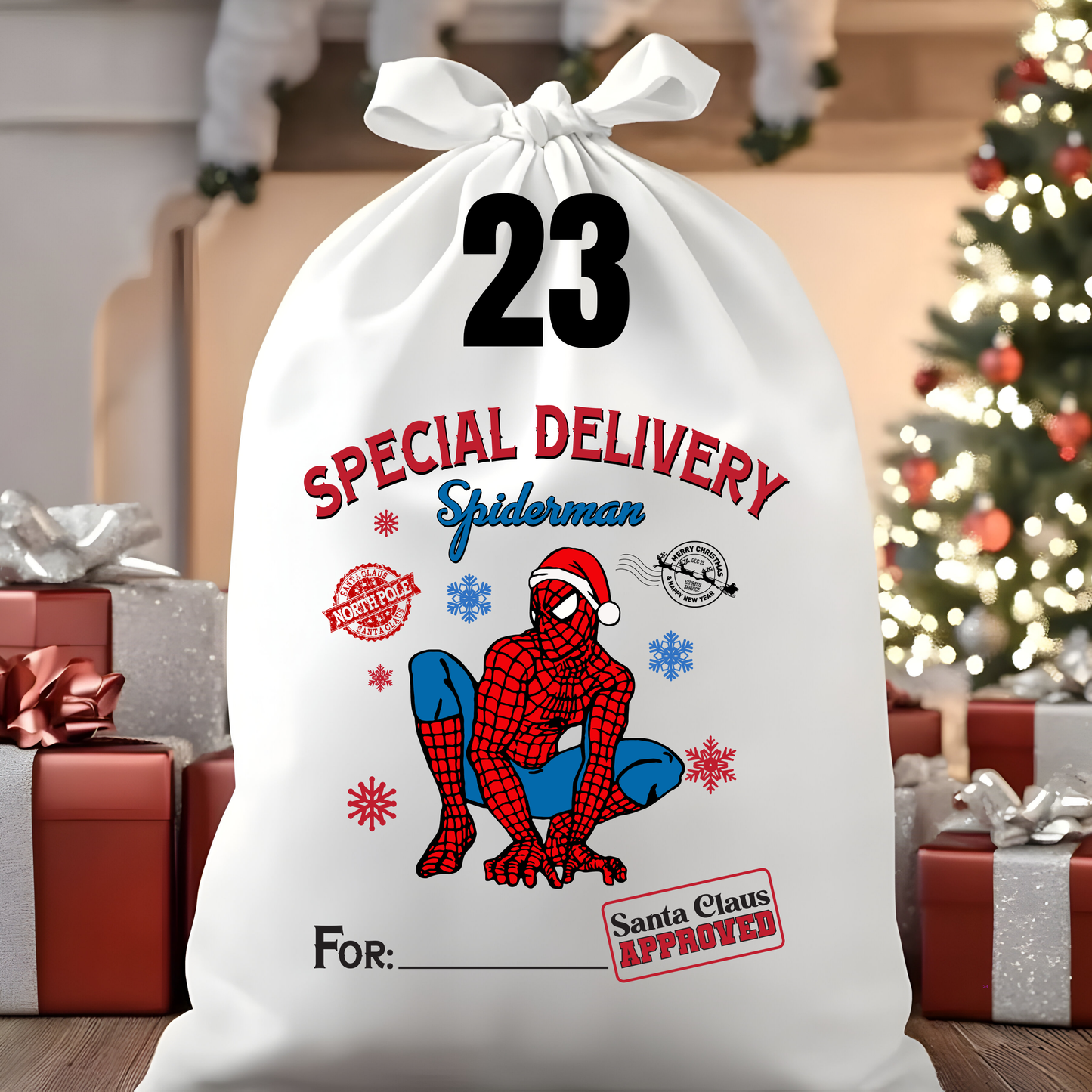 Character Santa Sacks