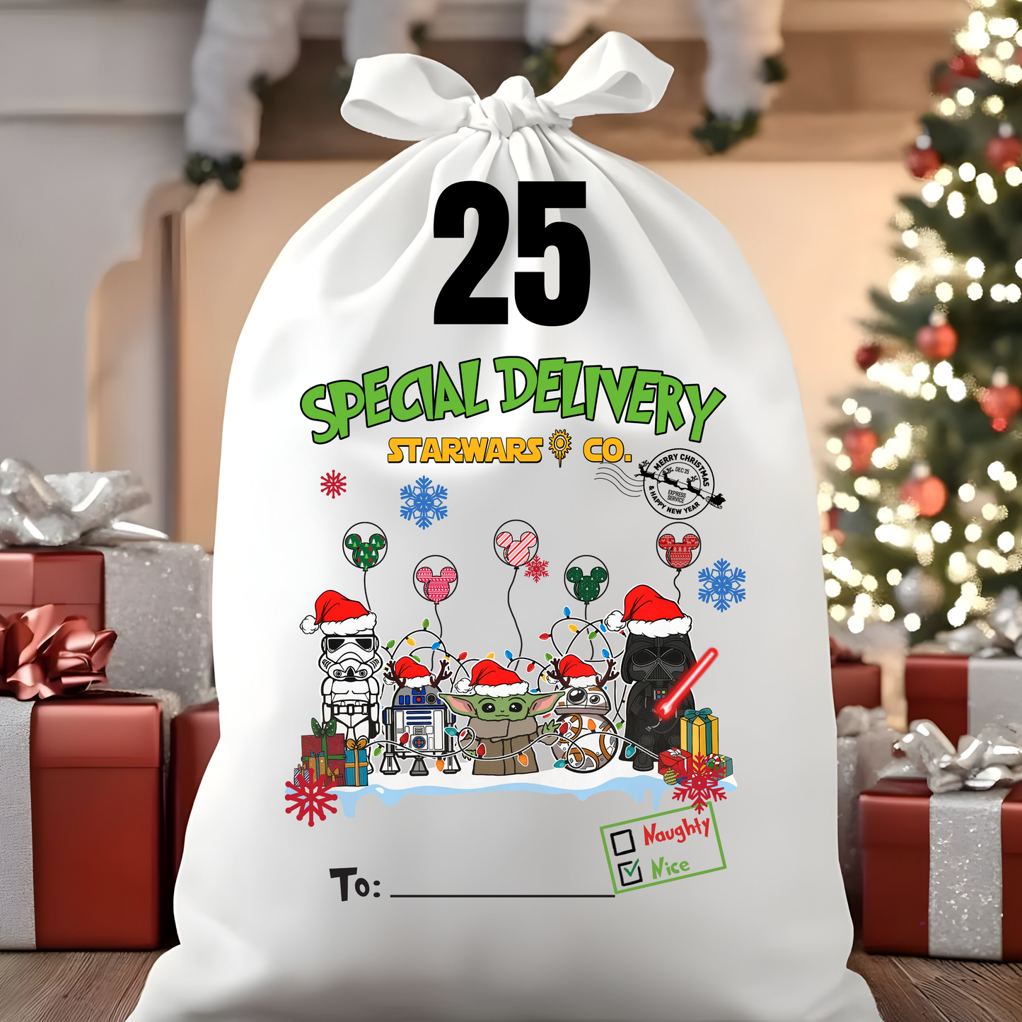 Character Santa Sacks