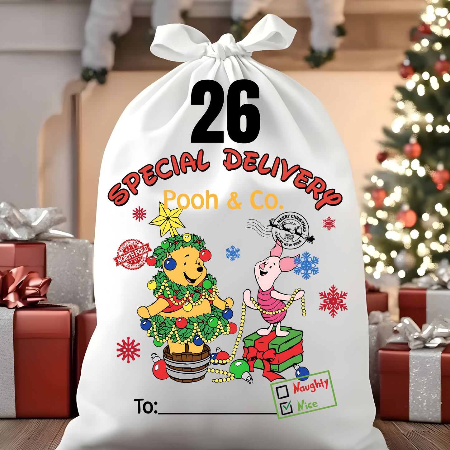 Character Santa Sacks