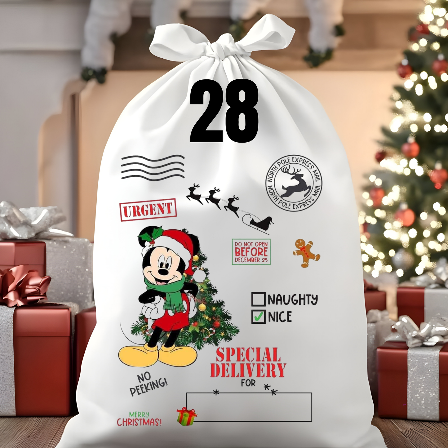 Character Santa Sacks