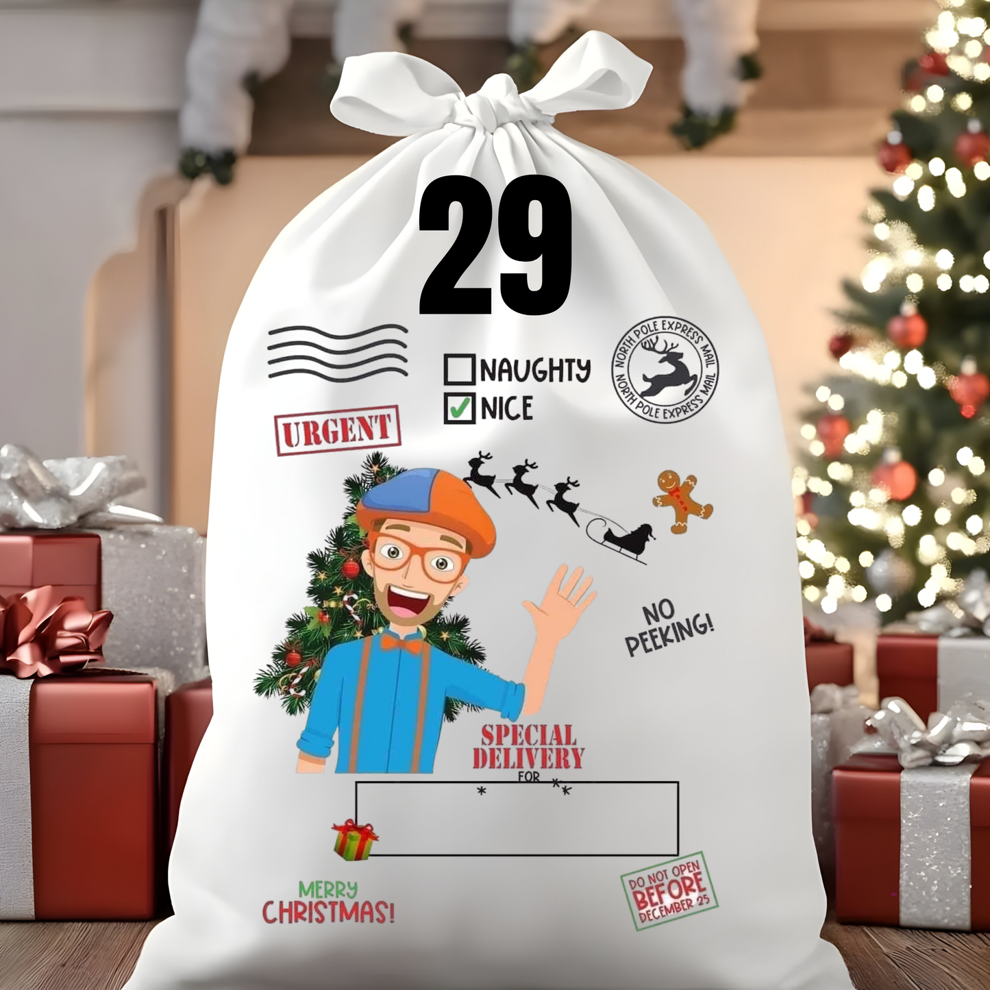 Character Santa Sacks