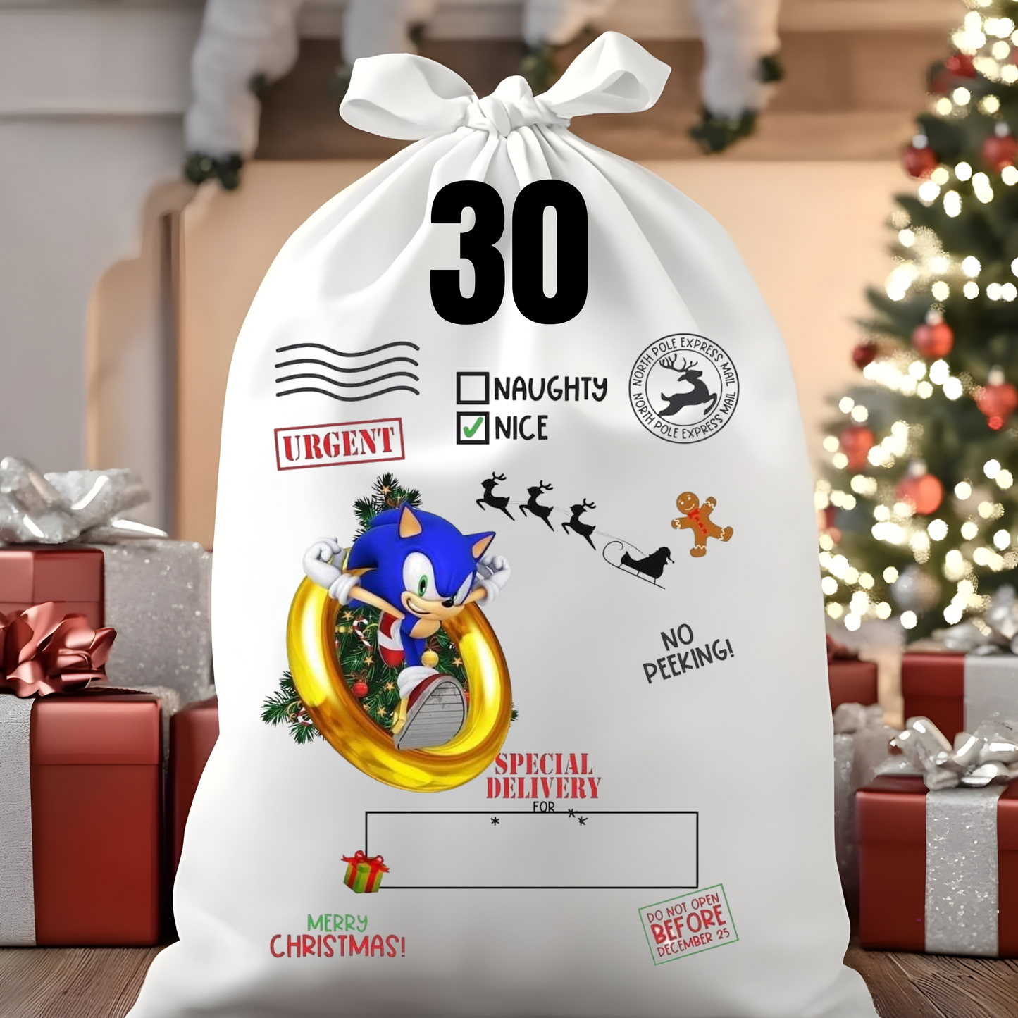 Character Santa Sacks