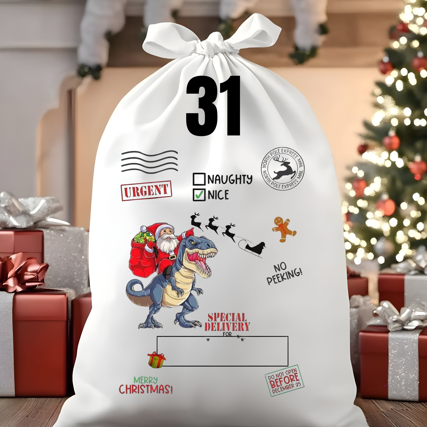 Character Santa Sacks