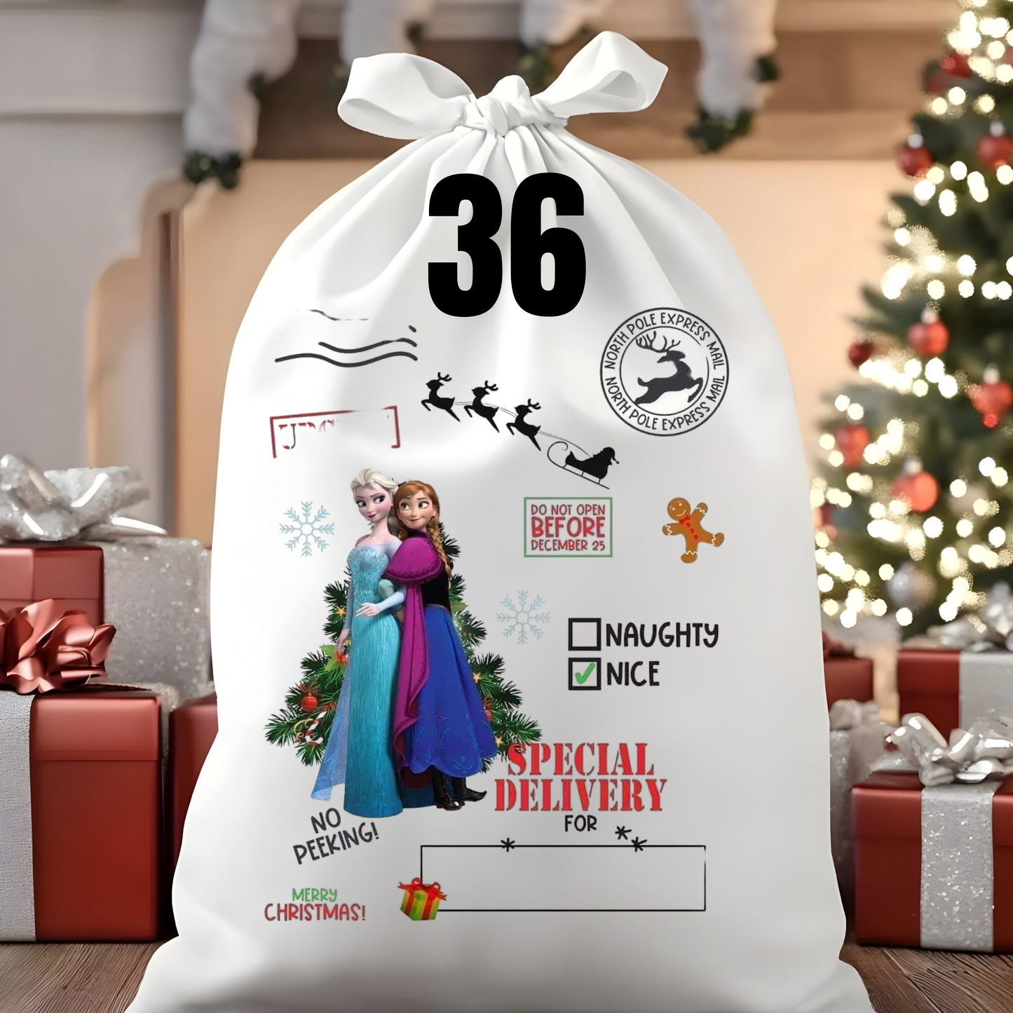 Character Santa Sacks