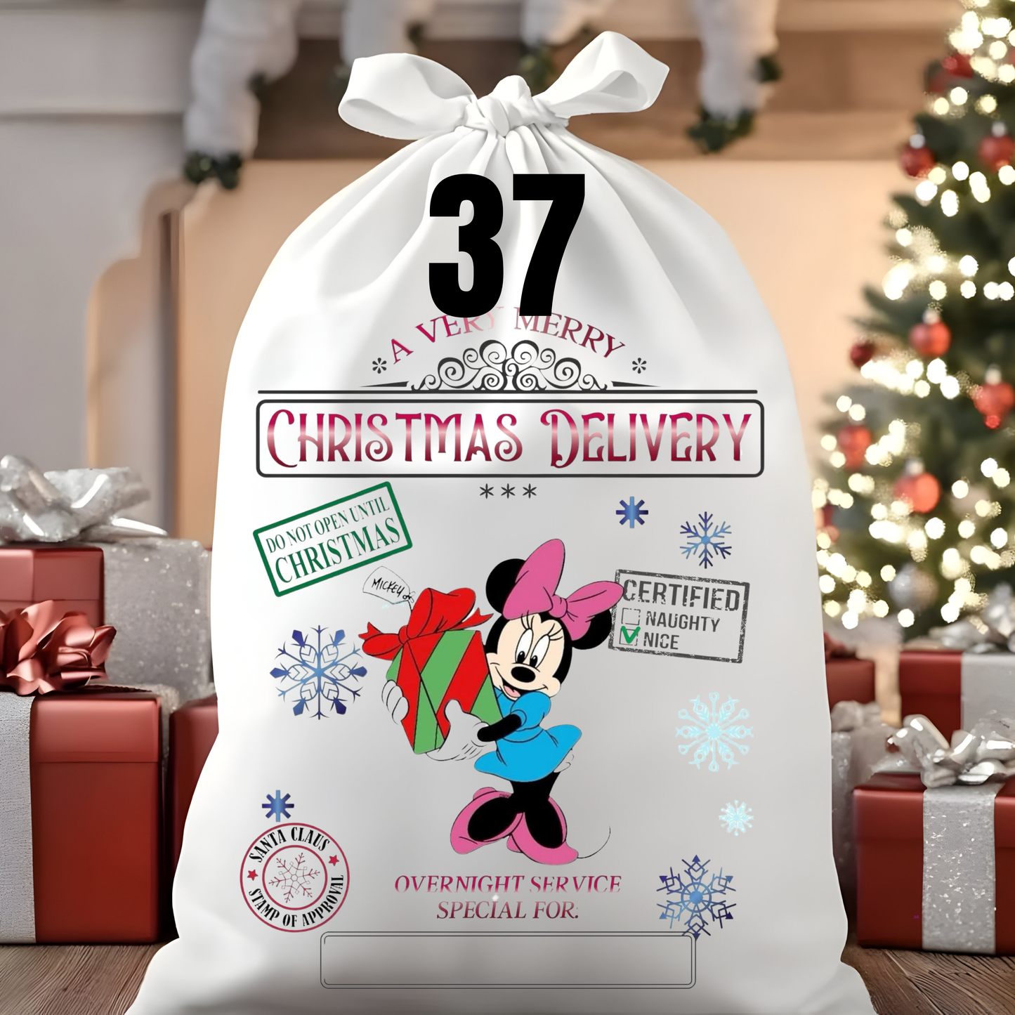 Character Santa Sacks