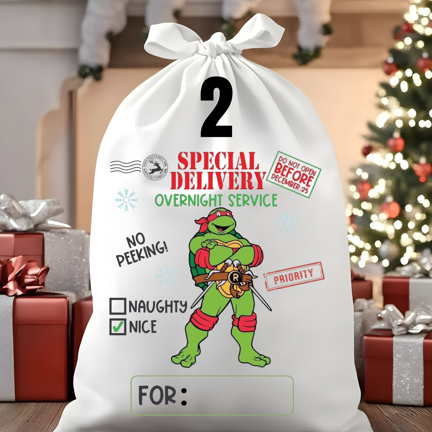 Character Santa Sacks