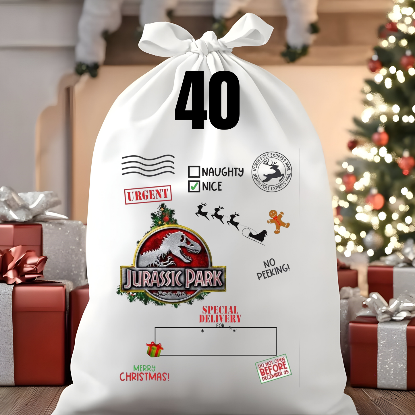 Character Santa Sacks