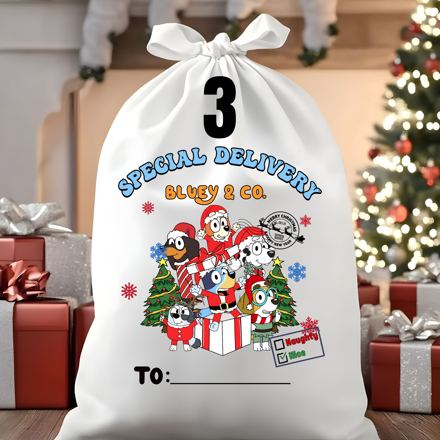 Character Santa Sacks