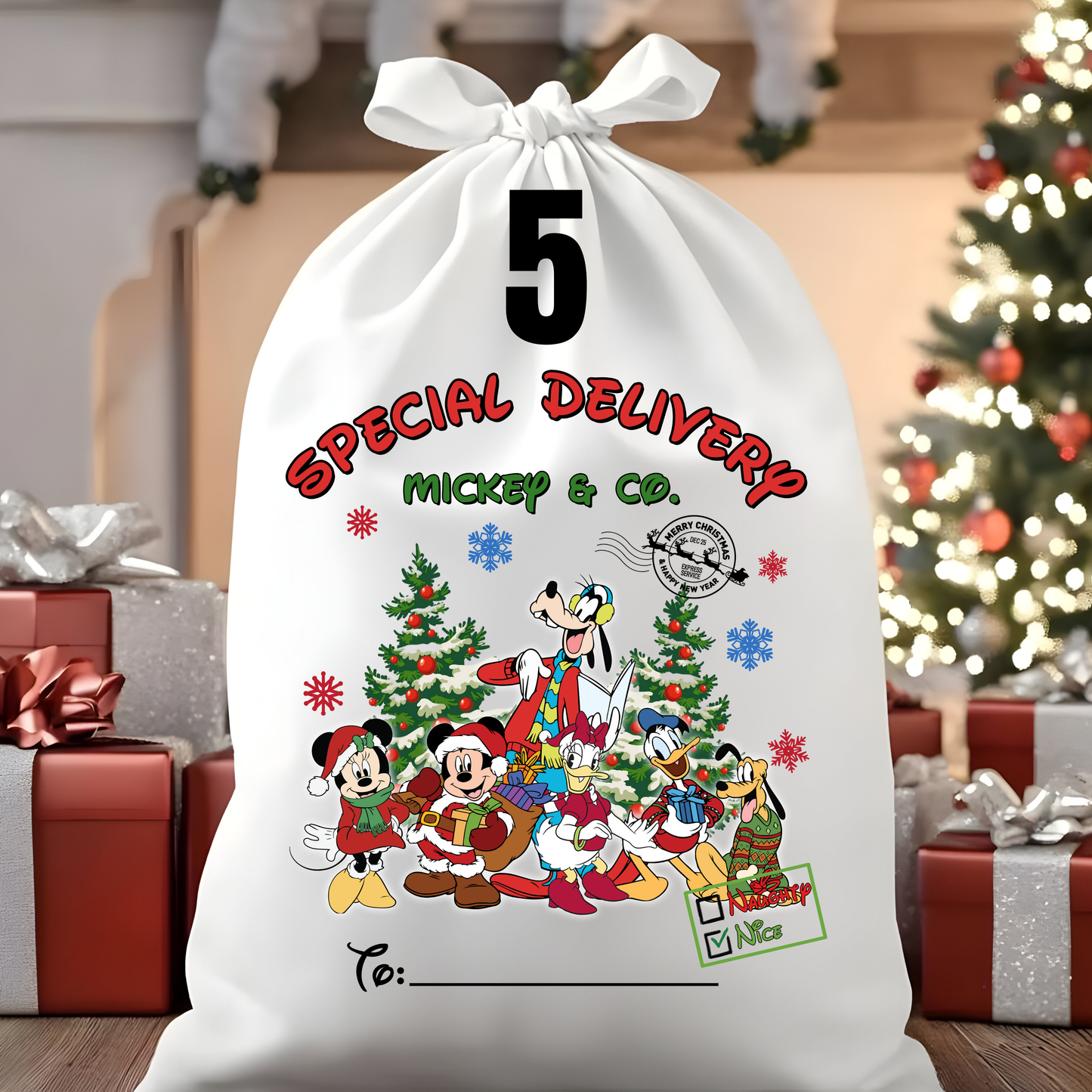 Character Santa Sacks