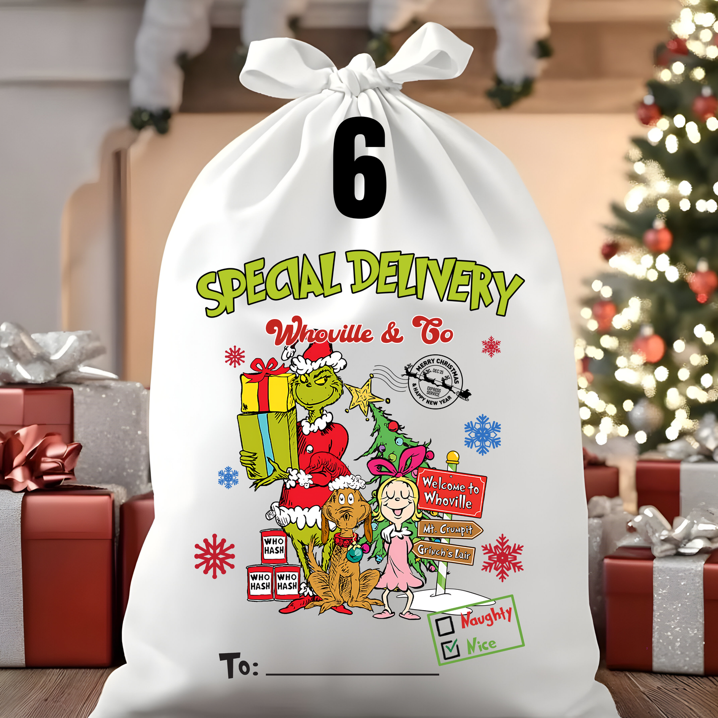 Character Santa Sacks