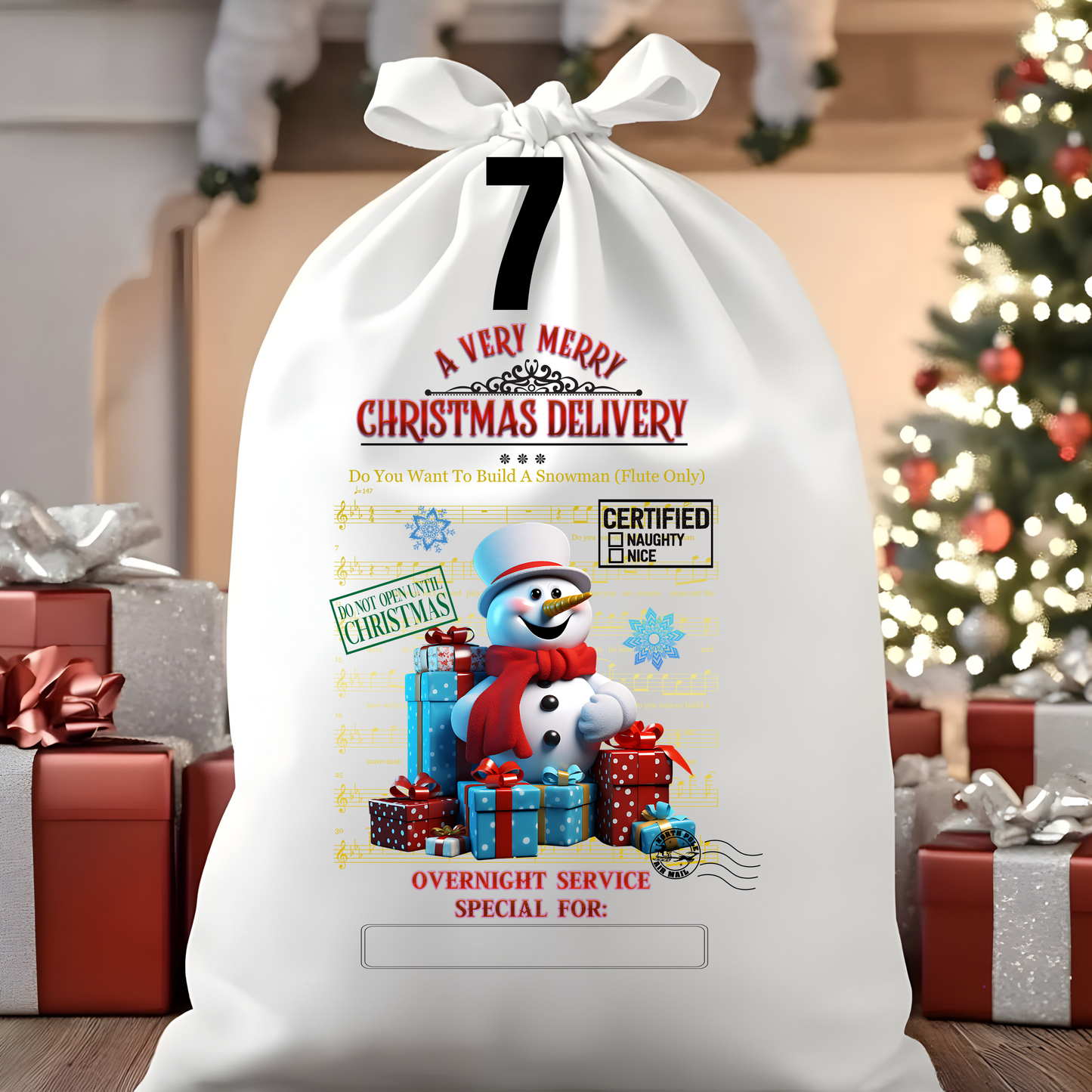 Character Santa Sacks